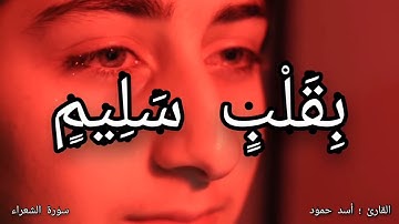 تلاوة تفطر القلب بصوت القارئ اسد حمود