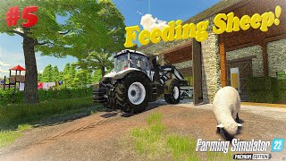 Fresh Grass! The valley of the old farm ep5 Farming Simulator 22 Premium Edition