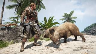 Assassins Creed Black Flag Resynced - Hunting Wild Pigs - Gameplay (PC UHD) [4K60FPS]
