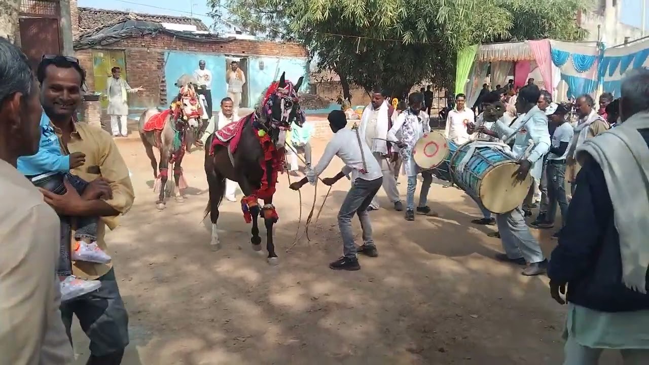 घोड़ा को नया डांस Horse new video घोड़ा कंपटीशन मुकाबला #horse #horselover #funny #patel_studio_mau