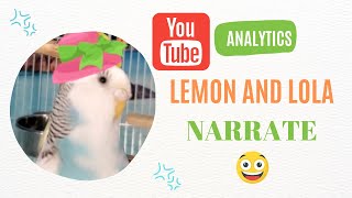 Funny spoof Channel ANALYTICS from parakeets! by Birds and Friends 232 views 1 year ago 1 minute, 4 seconds
