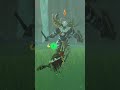 【ティアキン】ウクク平原のライネル ゼルダの伝説ティアーズオブ ザキングダム #ゼルダの伝説 #ティアキン #zelda #shorts