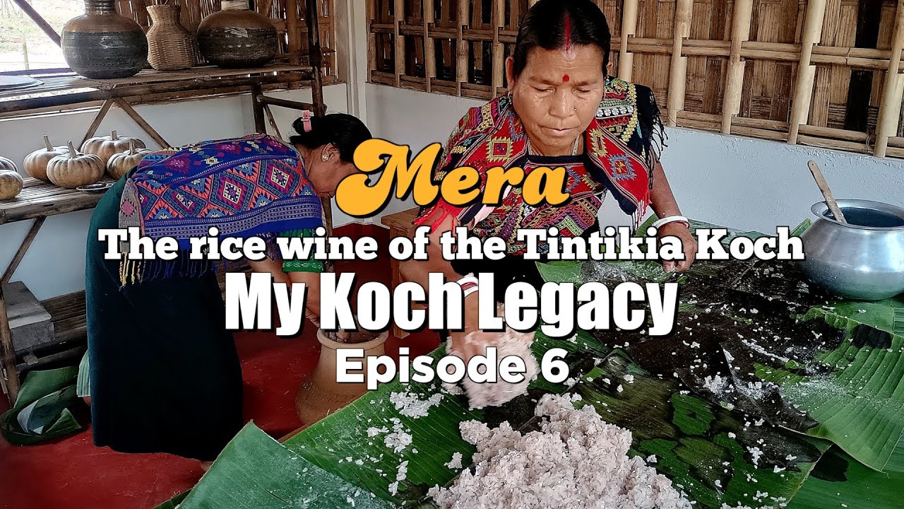 My Koch Legacy | Mera - The rice wine of the Tintikia Koch