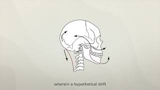 Why humans have chins: finally solved?