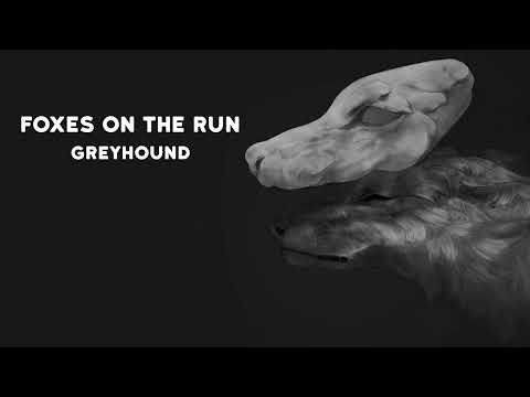Foxes on the Run - Greyhound