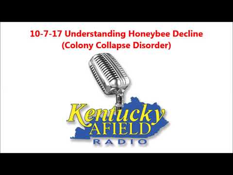 beekeeper hat 10-7-17 Understanding Bee Decline