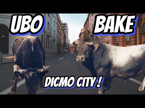 UBICA - BAKE DICMO 2021