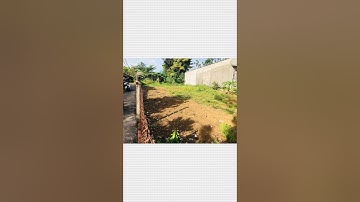 bán đất 540m2 tại xã Long Phước, tp Bà Rịa, tỉnh Bà Rịa - Vũng Tàu #bariavungtau #datgiare #bds