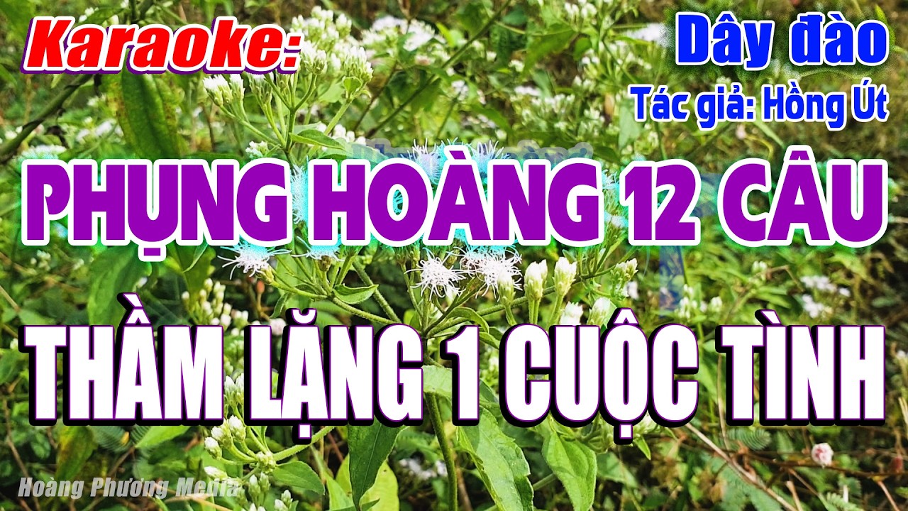 Karaoke Phụng hoàng 12 câu Thầm Lặng Một Cuộc Tình (Dây đào) | Beat Dở, Dễ Hát – Hoàng Phương Media