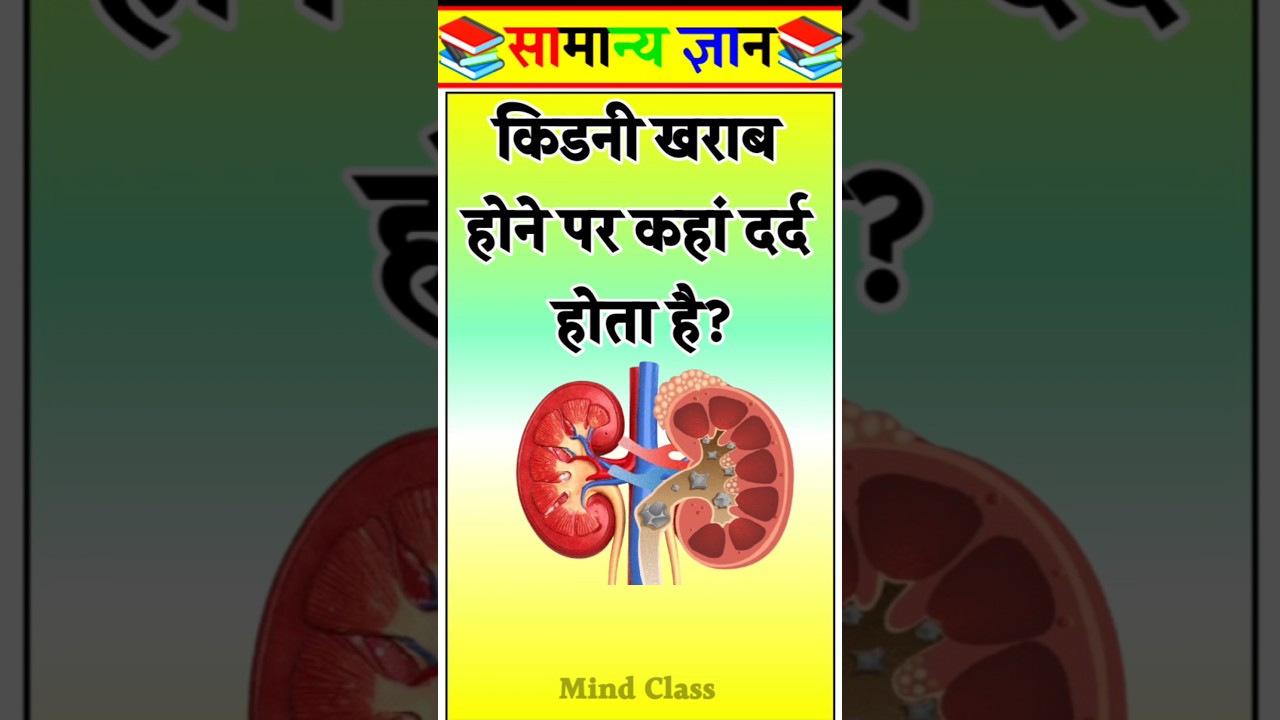 Top 50 ✍️ IAS Level GK Questions 🔥 | Most Important GK Question Answer | Part-1486