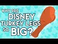 Why Are Disney Turkey Legs So Big?
