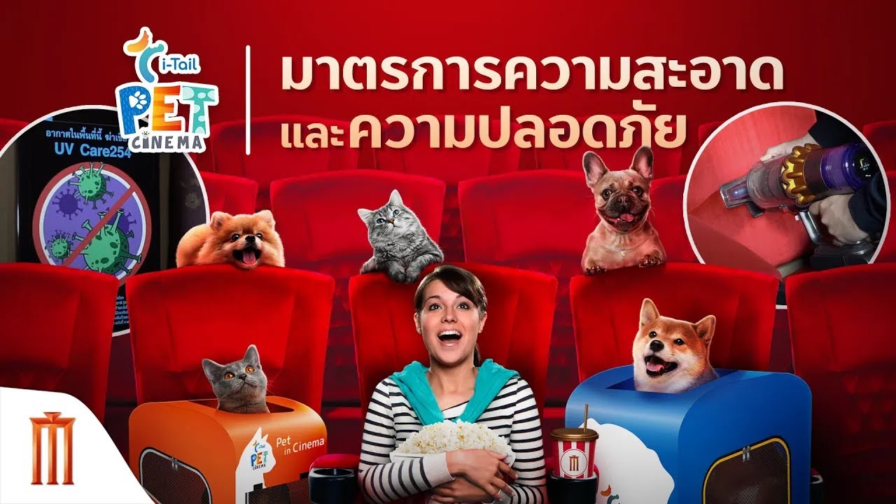 สะอาด มั่นใจ ดูหนังกับสัตว์เลี้ยงอย่างปลอดภัยที่ i-Tail Pet Cinema