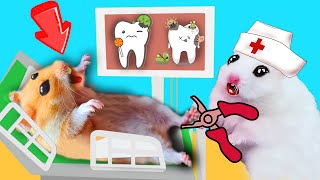 💉😱 Doctor Hamster Rescue Giant Teeth Maze Traps 🦷 In Hamster Stories