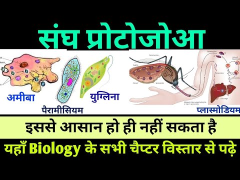 प्रोटोज़ोआ संघ Biology full class bio all chapter