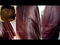 How to Get Burgundy or Chocolate Brown Hair Color at Home 100% Working |Black Hair to Burgundy Color