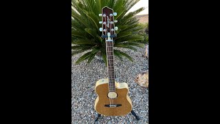LR Baggs AEG-1 Guitar | Torrified Sitka Spruce Top - Demo by Gary Roberts