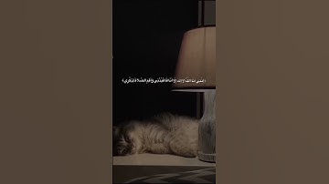 تلاوه هادئة تريح القلب//❤😔