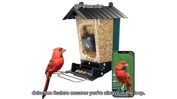 Perky-Pet Smart Bird Feeder with Camera Review: Squirrel-Resistant & HD Motion Activation