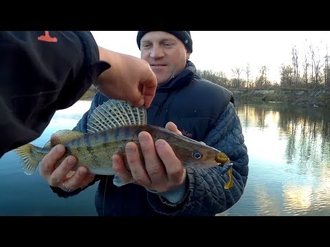 Хищник проснулся!!! Ловля