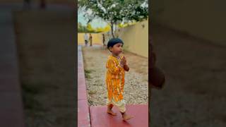 Krishnaastami 🦚🪈 #krishnaastami #usateluguvlogs #valasadaari