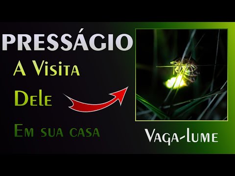 🏡 Presságio do Vaga-lume - A Mensagem do Universo para você!