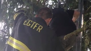 Firefighters Rescue Woman Who Got Stuck In Tree While Playing Pokemon Go