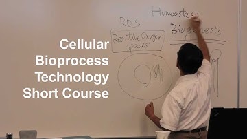 Cellular Bioprocess Technology Short Course Clip