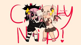 The “Cattynip” Game: The return Information