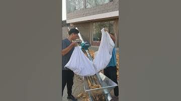 Chain type corn cob conveyor is lightweight, fast, and foldable for household storage