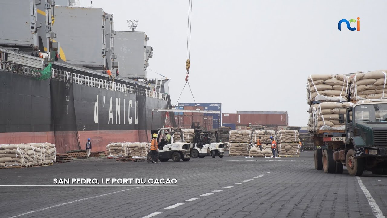 NCI REPORTAGES | San-Pedro, le port du cacao