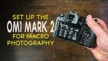 How to Set Up the OM1 Mark 2 for Stunning Macro Photography