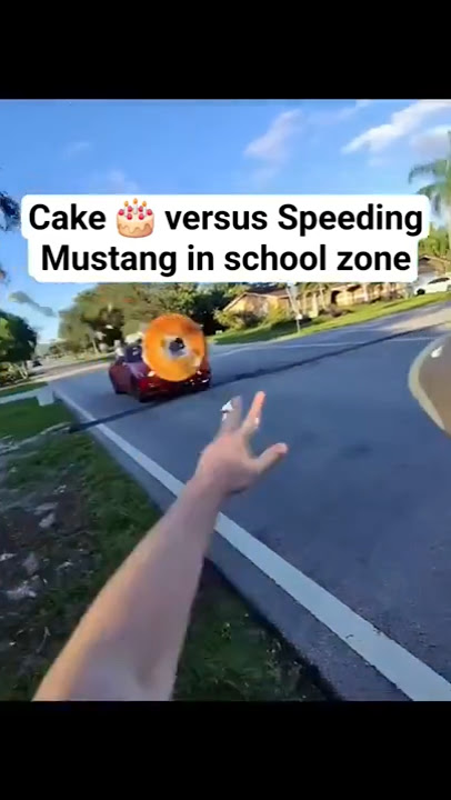 throwing cake at speeding cars in school zones
