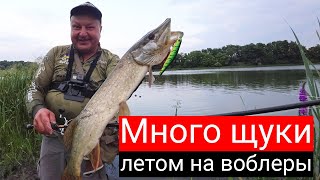 видео: МНОГО ЩУКИ ЛЕТОМ на воблеры. Никогда не отцепляйте рыбу с крючков так — это опасно! картинка: МНОГО ЩУКИ ЛЕТОМ на воблеры. Никогда не отцепляйте рыбу с крючков так — это опасно!