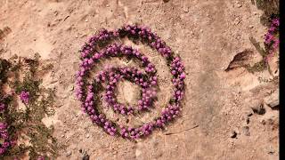 FARCRY NEWDAWN easily get unlimited circuit board