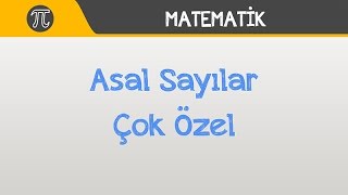 Asal Sayılar Çok Özel Matematik Hocalara Geldik