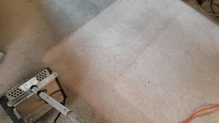 Carpet Cleaning Restoration