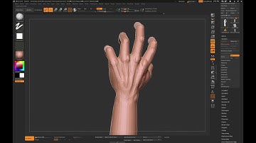 Zbrush hand from zspheres