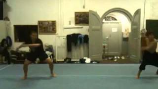 Synchro Hook Tdraiz Gainer