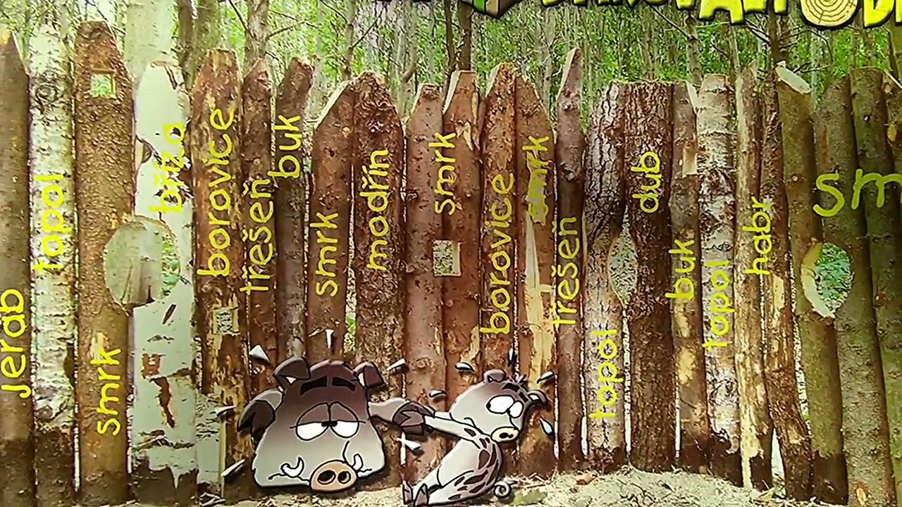 Sanatoria Klimkovice 12 . 4.  2024 16 : 23 -16: 55 [1.část]