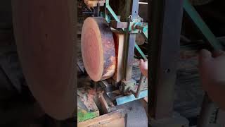 saw machine for cutting logs #shorts