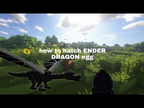 How to hatch ender dragon egg in Minecraft 🤔 - YouTube