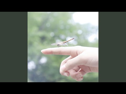 余夏 (Short ver.)