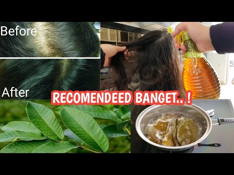 TERBUKTI !! RAMBUT RONTOK HILANG RAMBUT TUMBUH MENGGILA DENGAN DAUN INI