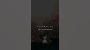 #quran #الشيخ_محمد_صديق_المنشاوي #سورة_الروم #قرآن_كريم #foryou #لا_اله_الا_الله #الشيخ_المنشاوي