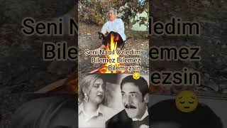 Seni Nasıl Özledim