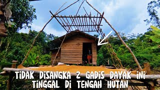 Download Lagu Kehidupan 2 Gadis Dayak di Tengah Hutan  Berladang Hidup Sederhana di Pedalaman yang Sunyi MP3 Download Lagu Kehidupan 2 Gadis Dayak di Tengah Hutan  Berladang Hidup Sederhana di Pedalaman yang Sunyi MP3