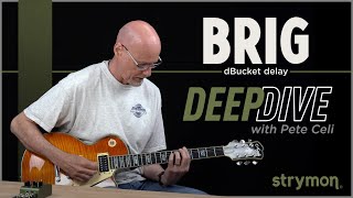 Strymon Brig dBucket Delay – Deep Dive with Sound Designer Pete Celi