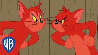 Tom und Jerry auf Deutsch 🇩🇪 | Tom vs. Butch | WB Kids