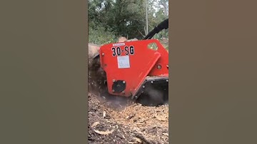Incredible Wood Processing| Stump Grinder - Removing Tree Stumps and Roots Made Easy #shorts#machine