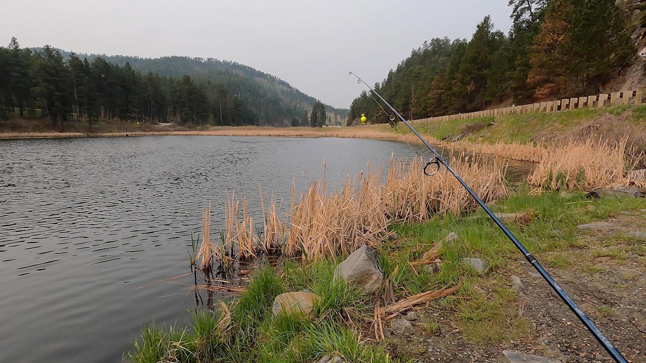 Sheridan Lake Fishing, Black Hills SD YouTube